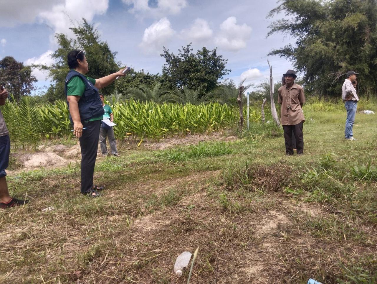 ภาพประกอบที่ 5