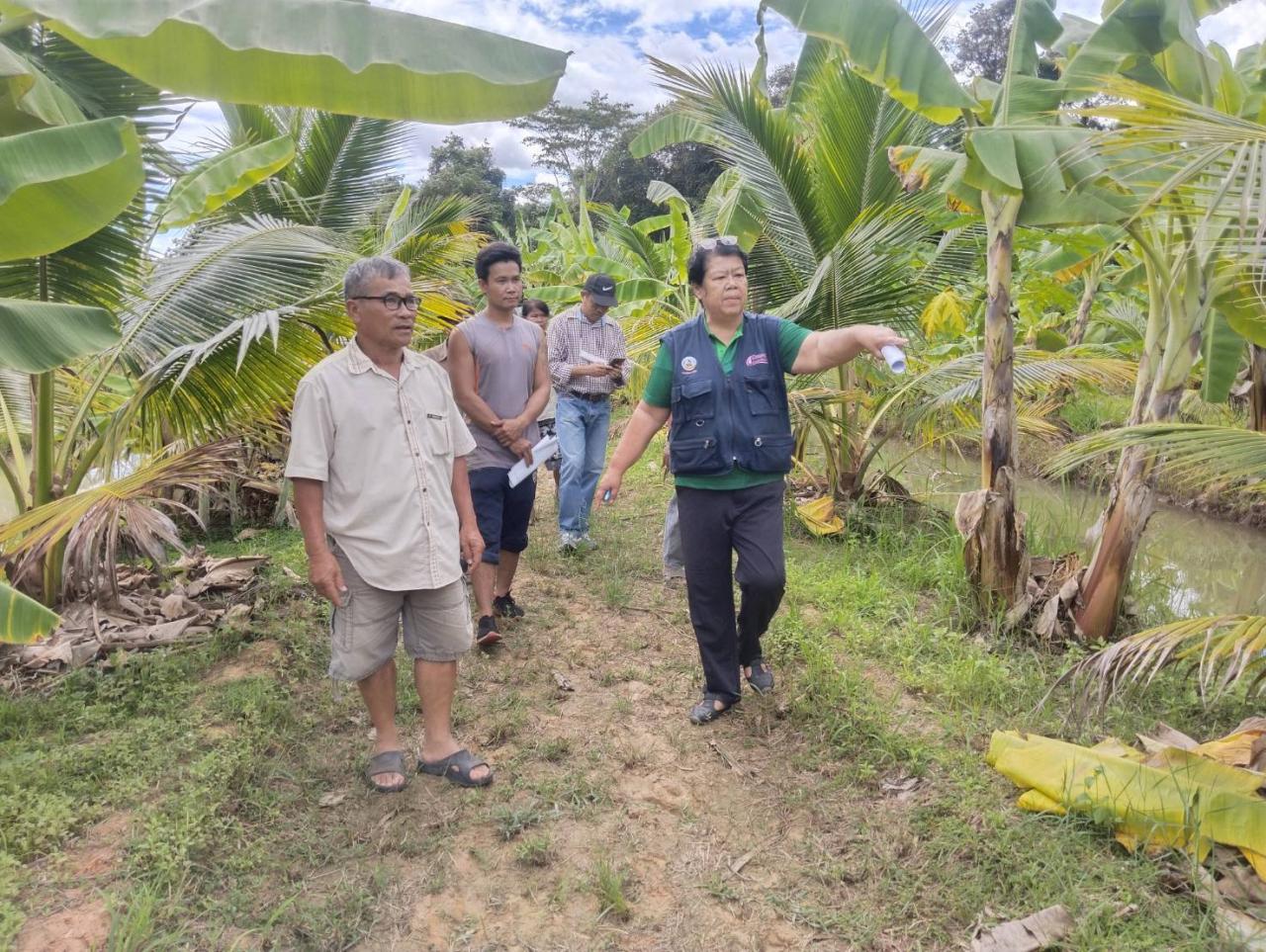 ภาพประกอบที่ 6