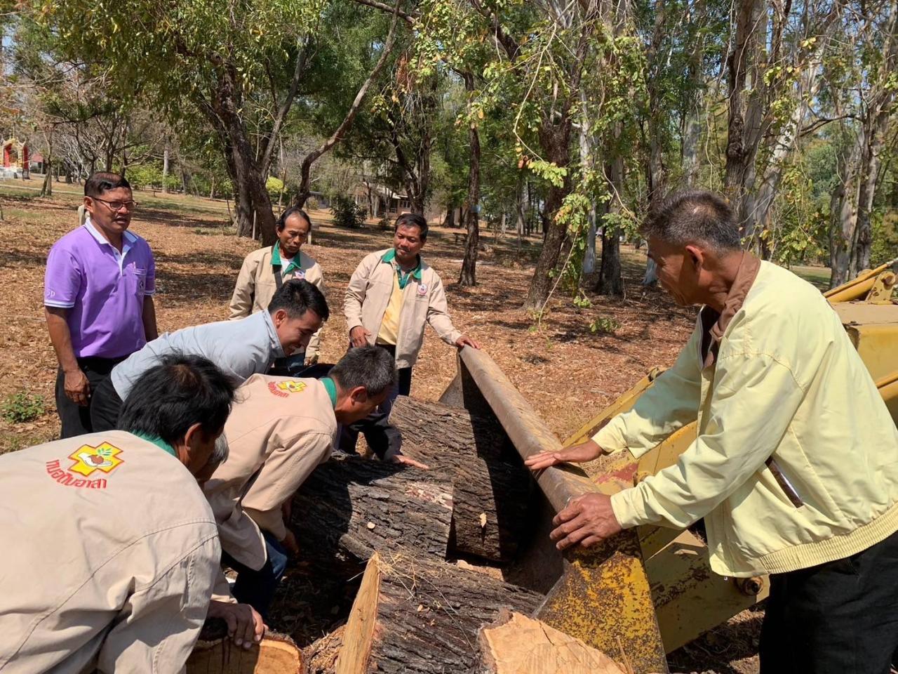 ภาพประกอบที่ 13