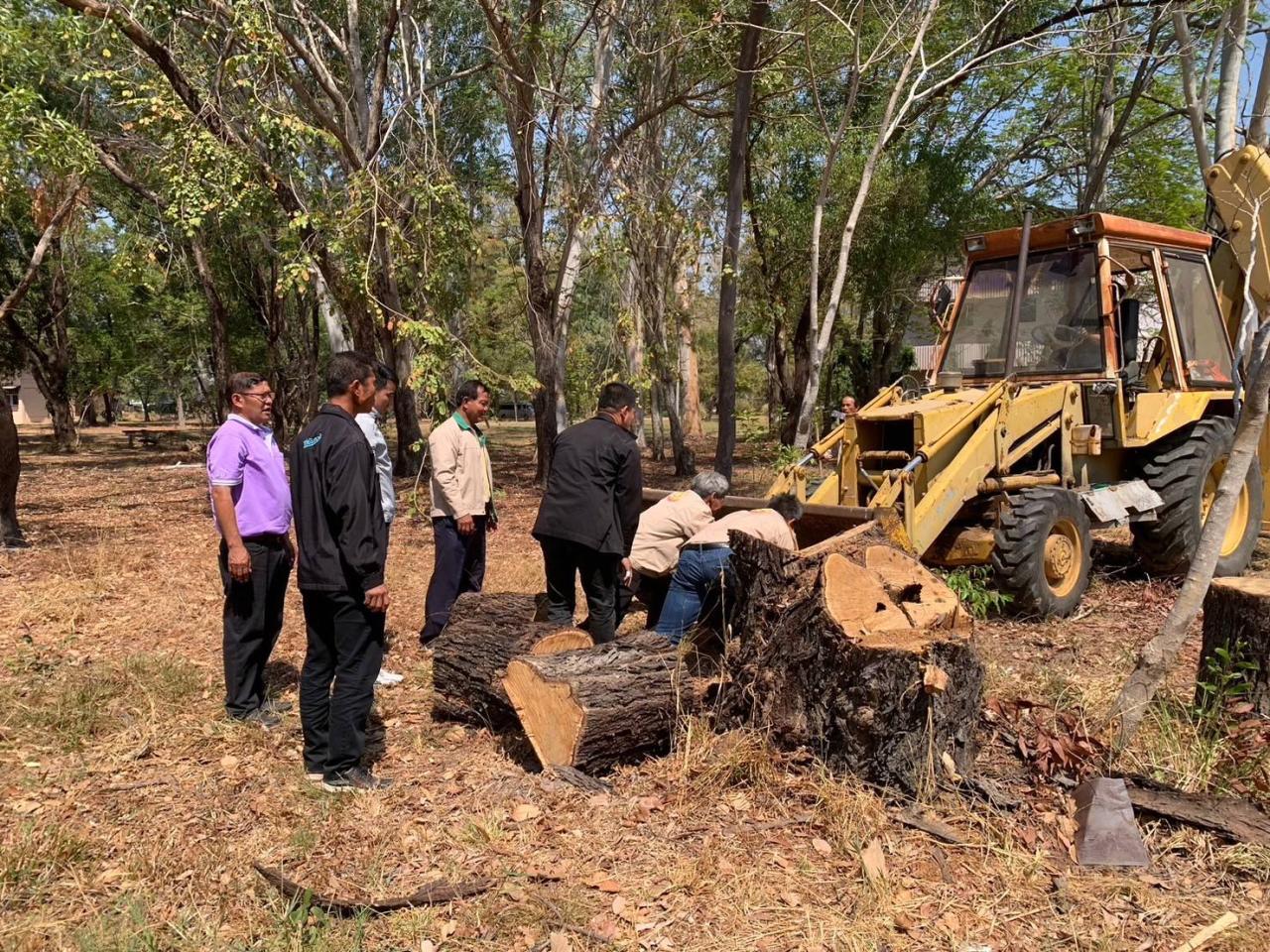 ภาพประกอบที่ 11