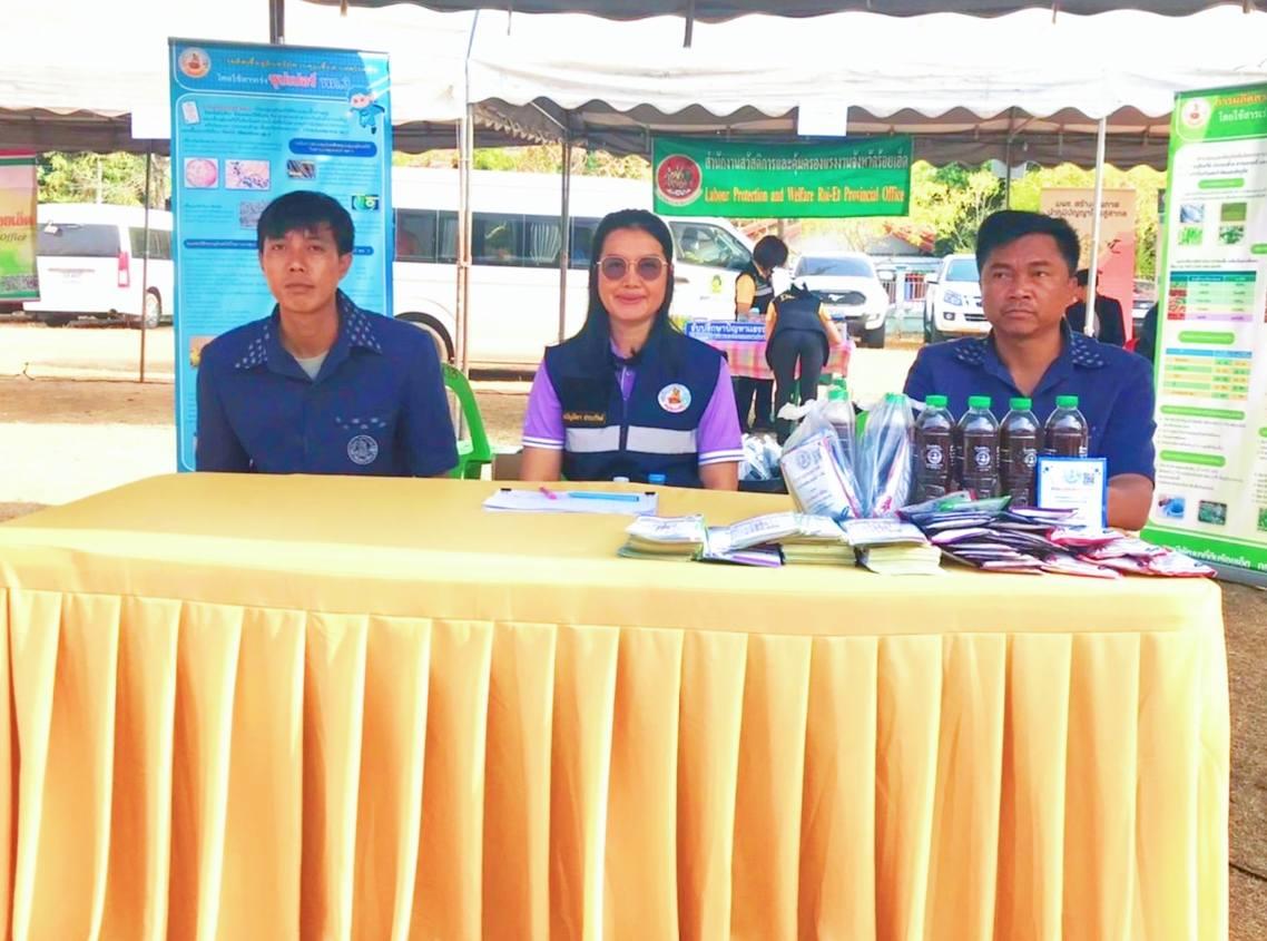 ภาพประกอบที่ 3