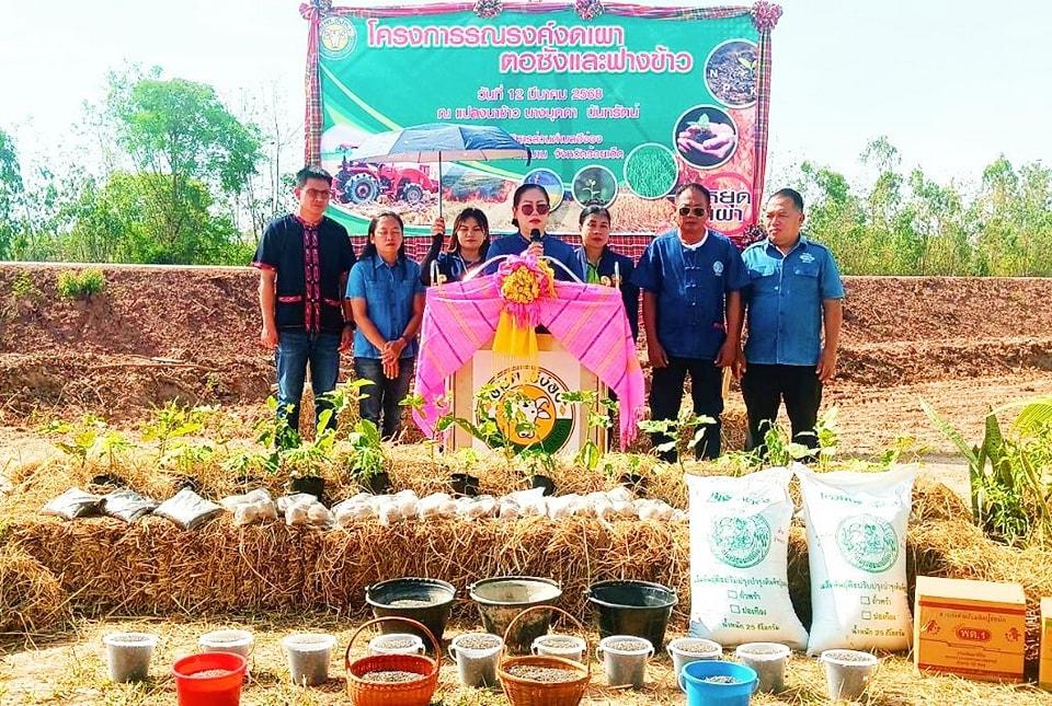 ภาพประกอบที่ 0