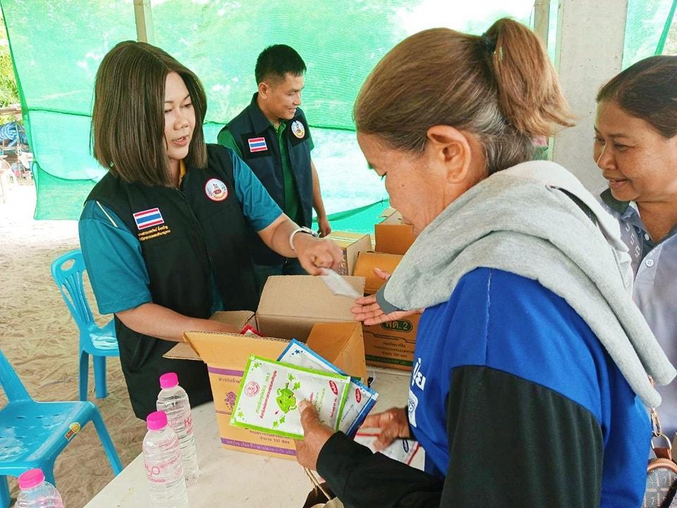 ภาพประกอบที่ 0