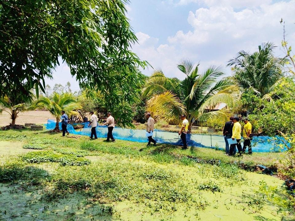 ภาพประกอบที่ 3