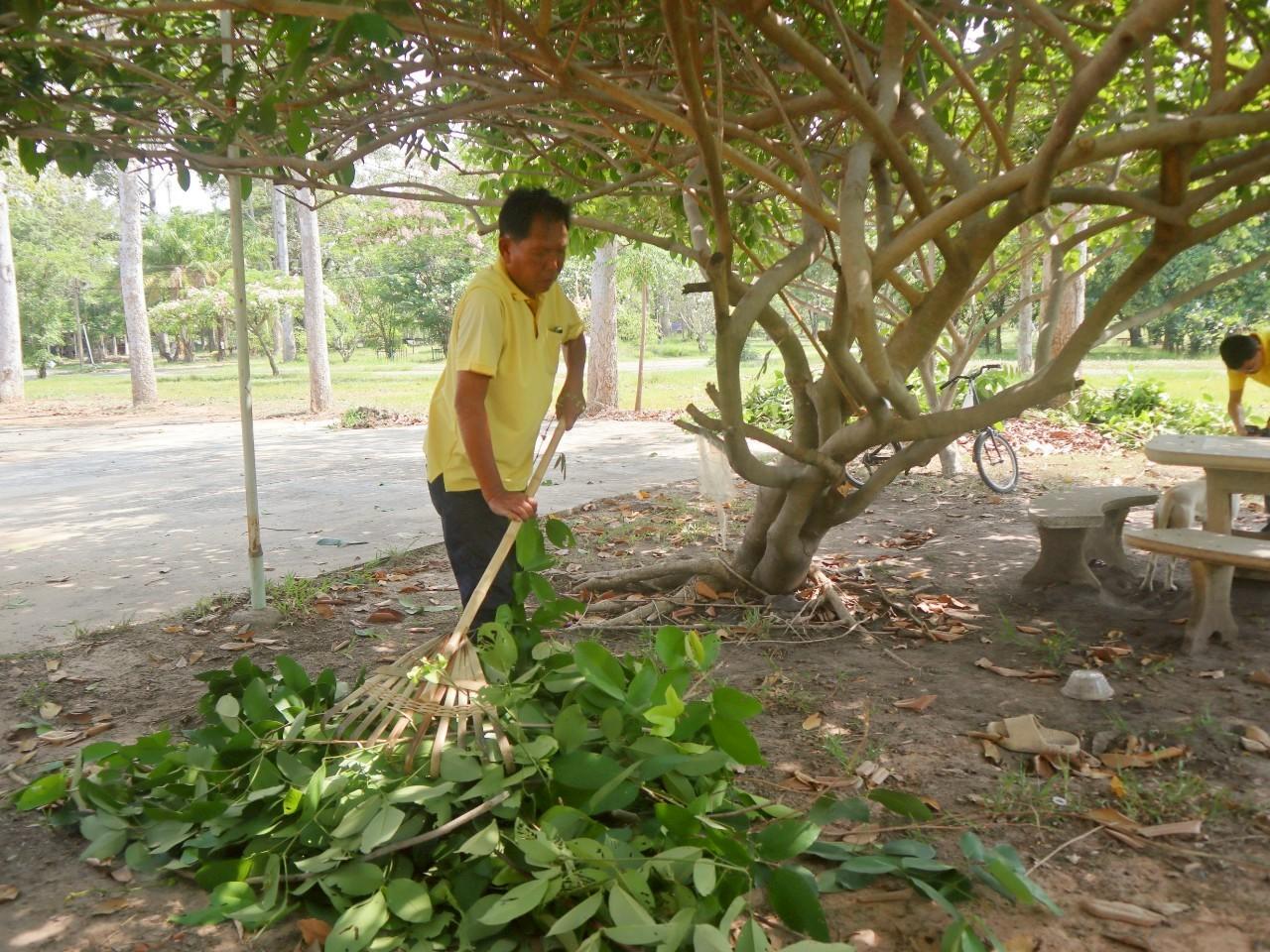 ภาพประกอบที่ 10