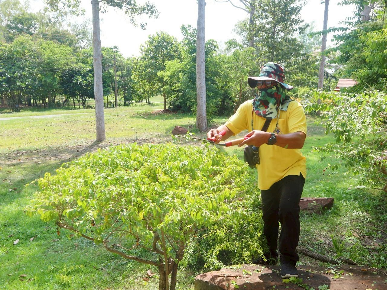 ภาพประกอบที่ 9