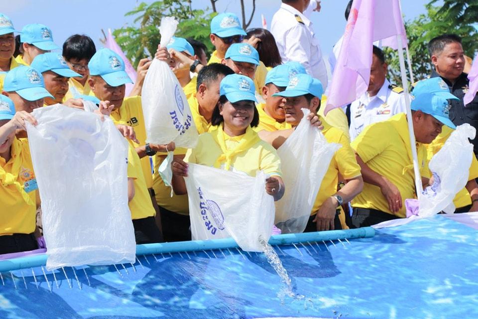 ภาพประกอบที่ 7