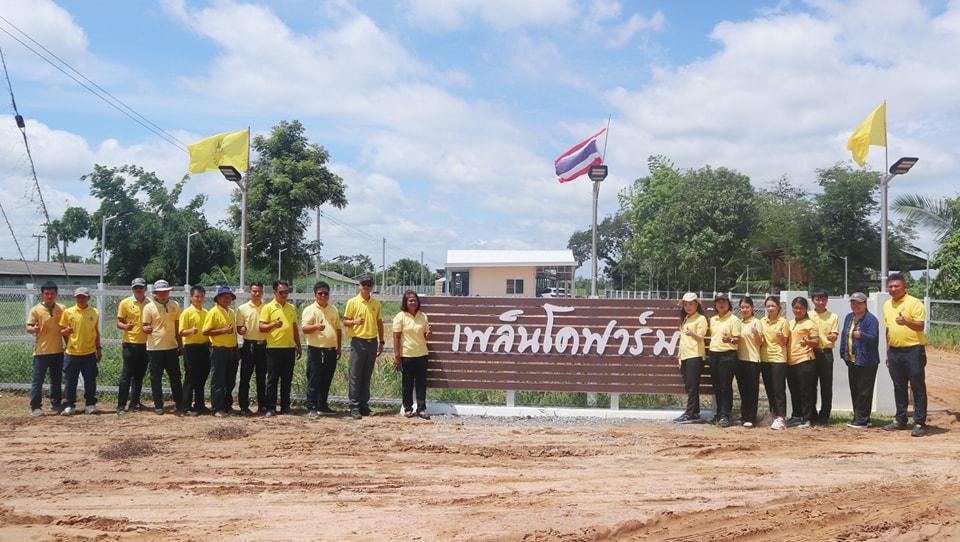 ภาพประกอบที่ 13