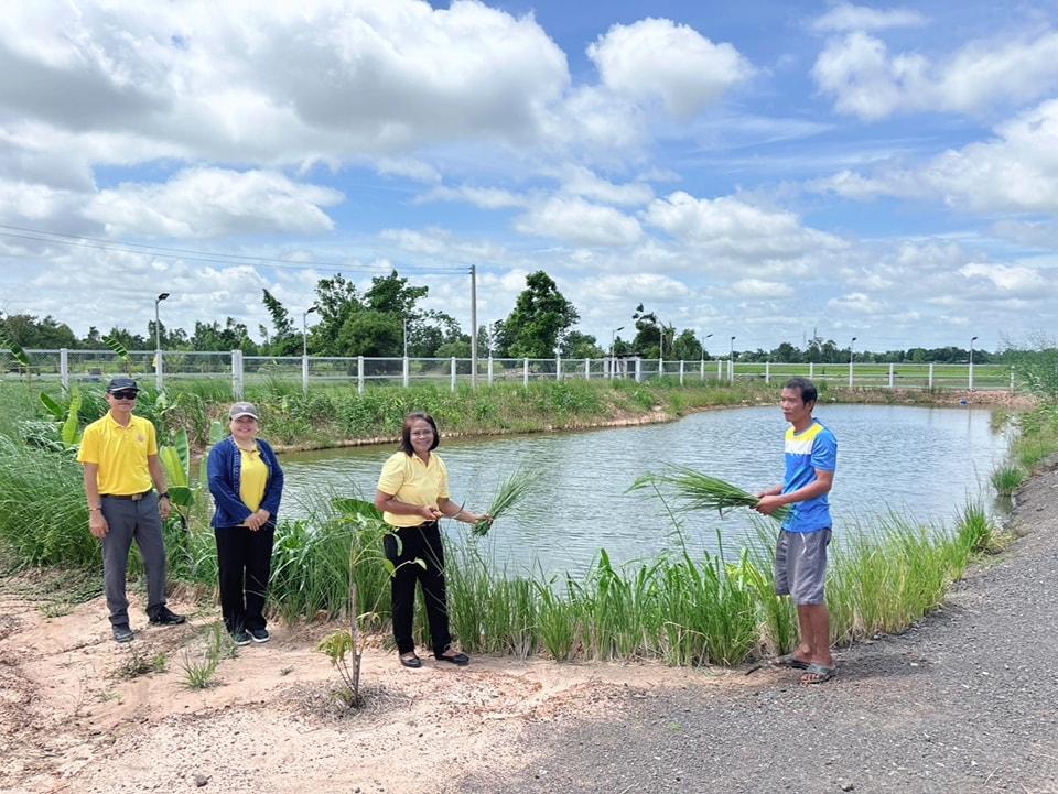 ภาพประกอบที่ 12