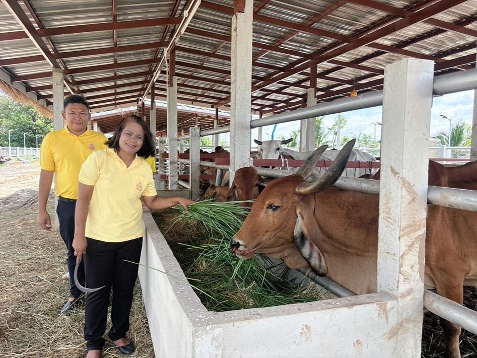 ภาพประกอบที่ 10