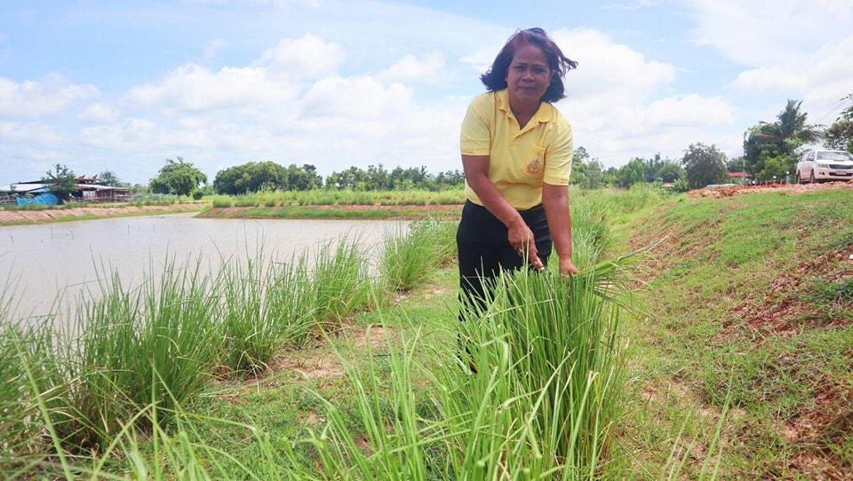 ภาพประกอบที่ 8