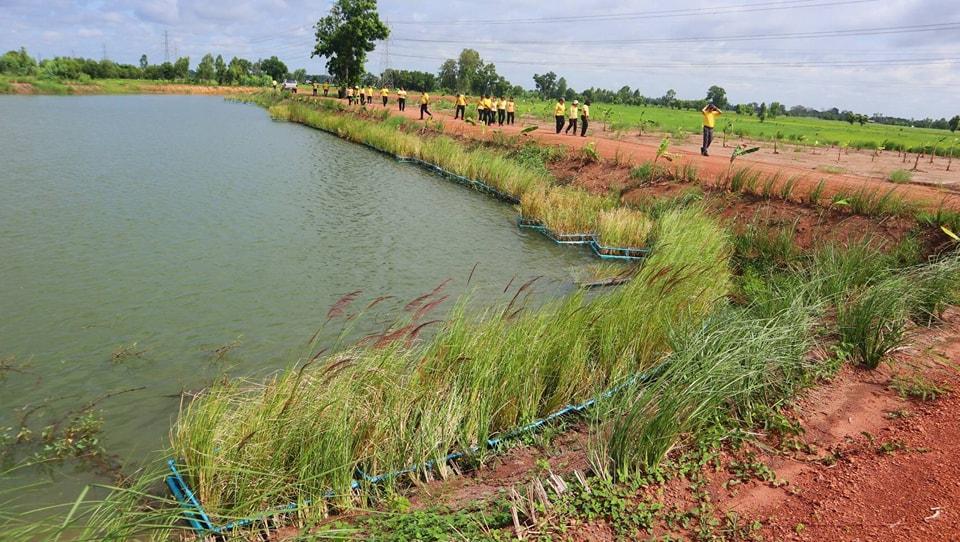 ภาพประกอบที่ 7