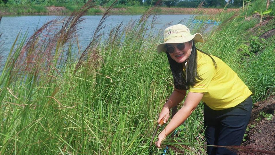 ภาพประกอบที่ 6