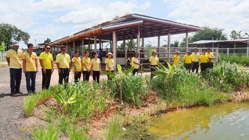 ภาพประกอบที่ 11