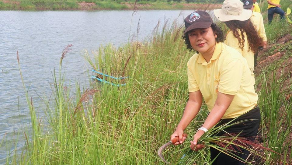 ภาพประกอบที่ 5