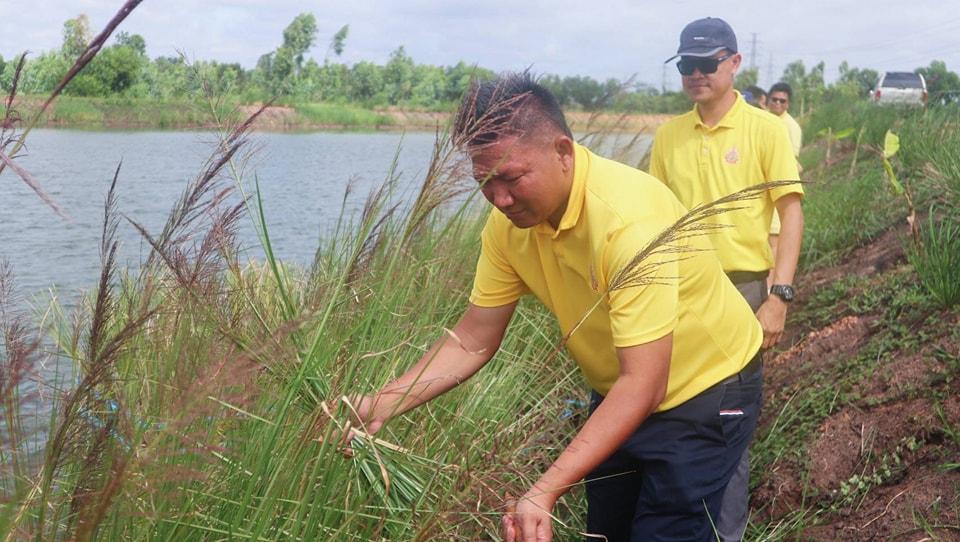 ภาพประกอบที่ 2