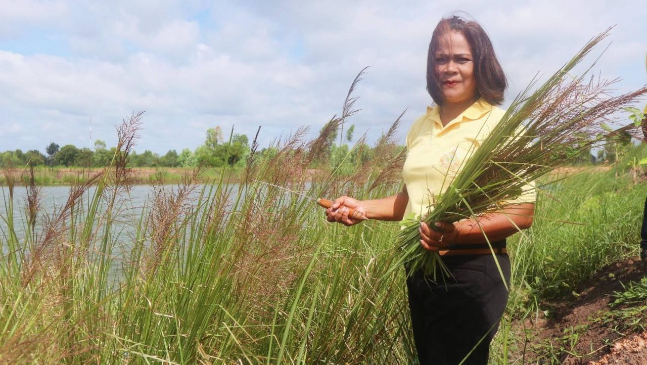 ภาพประกอบที่ 1