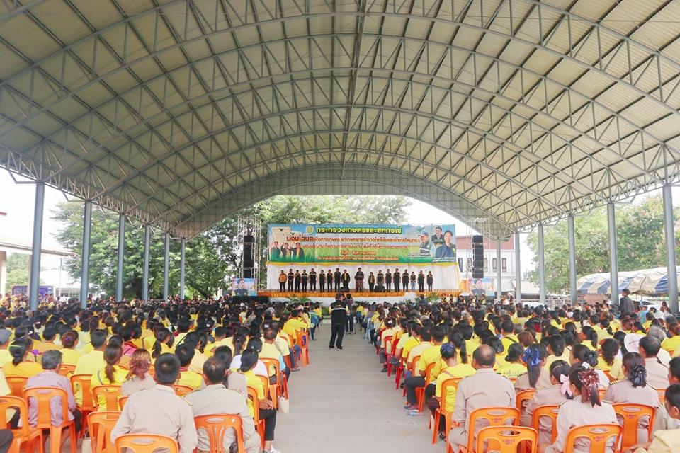 ภาพประกอบที่ 15