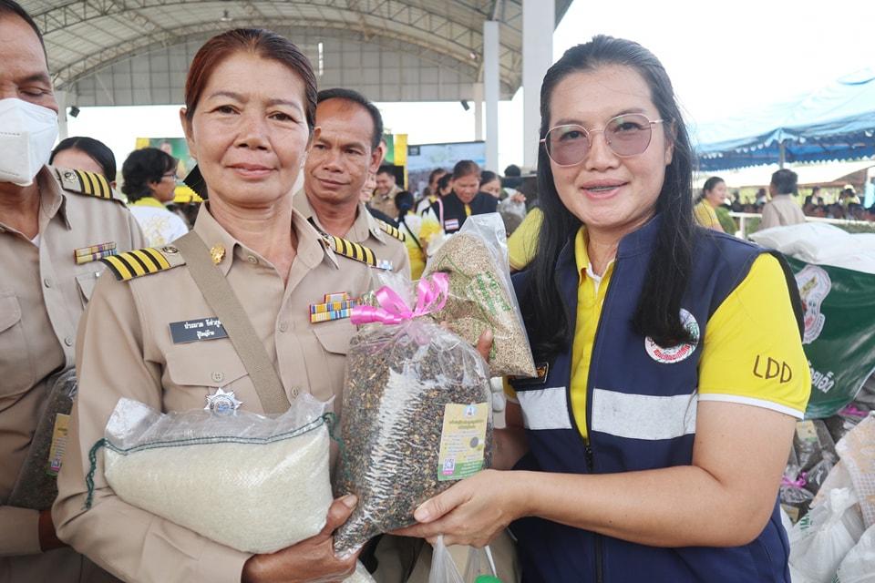 ภาพประกอบที่ 5