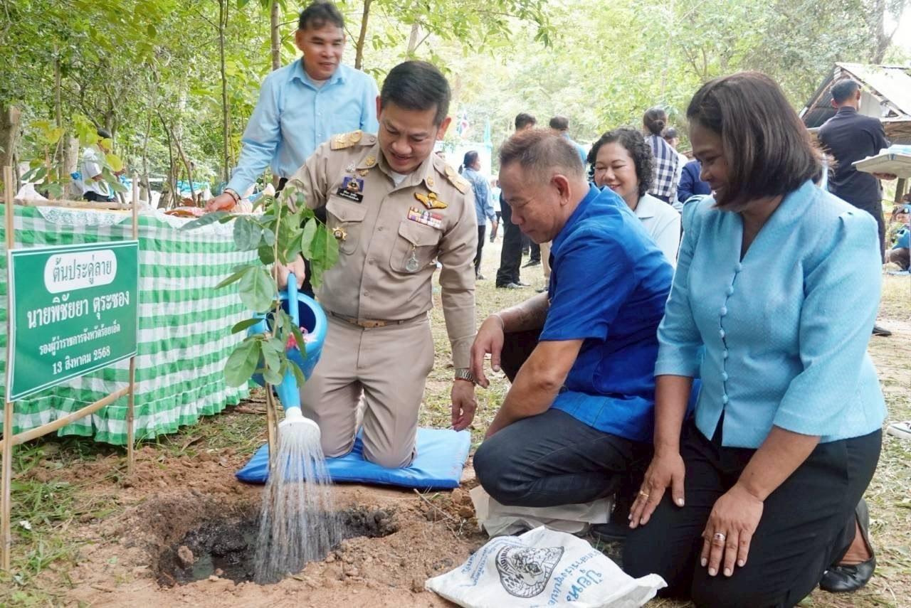ภาพประกอบที่ 8