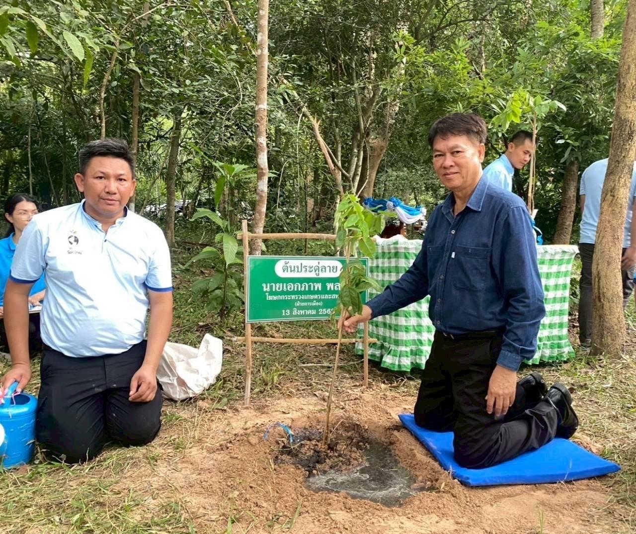 ภาพประกอบที่ 6