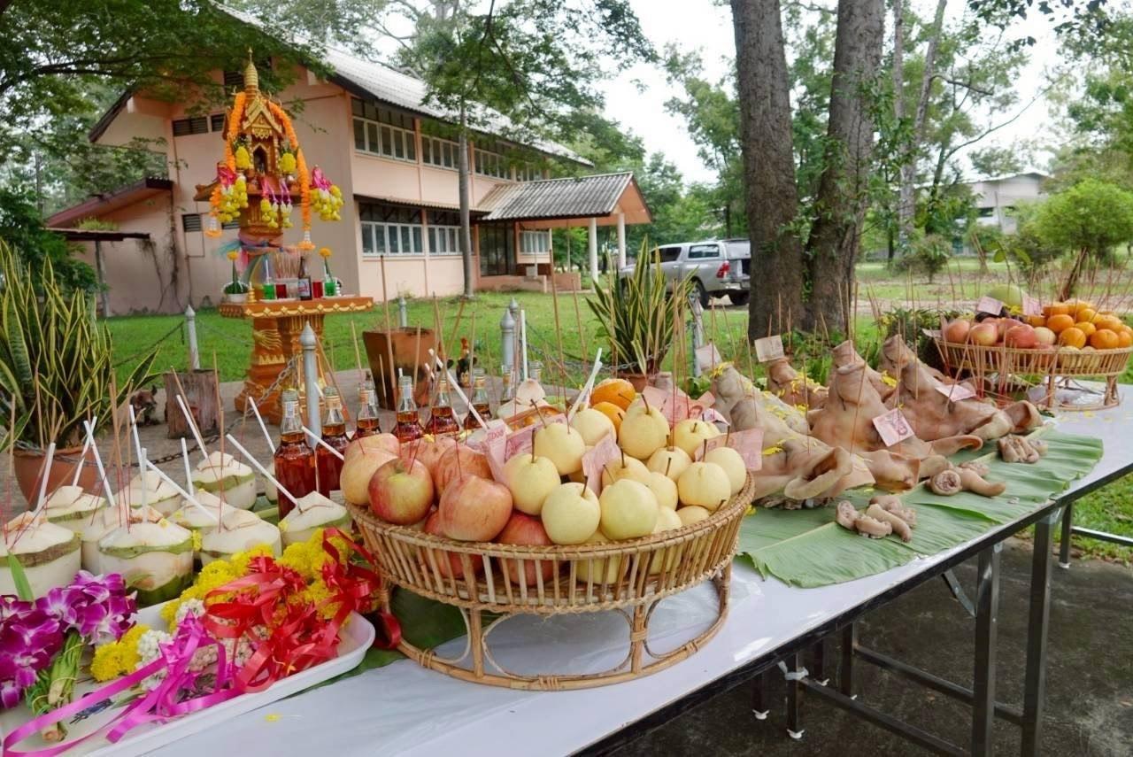 ภาพประกอบที่ 8