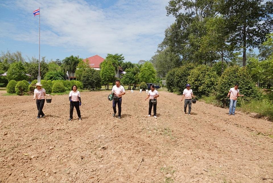 ภาพประกอบที่ 4