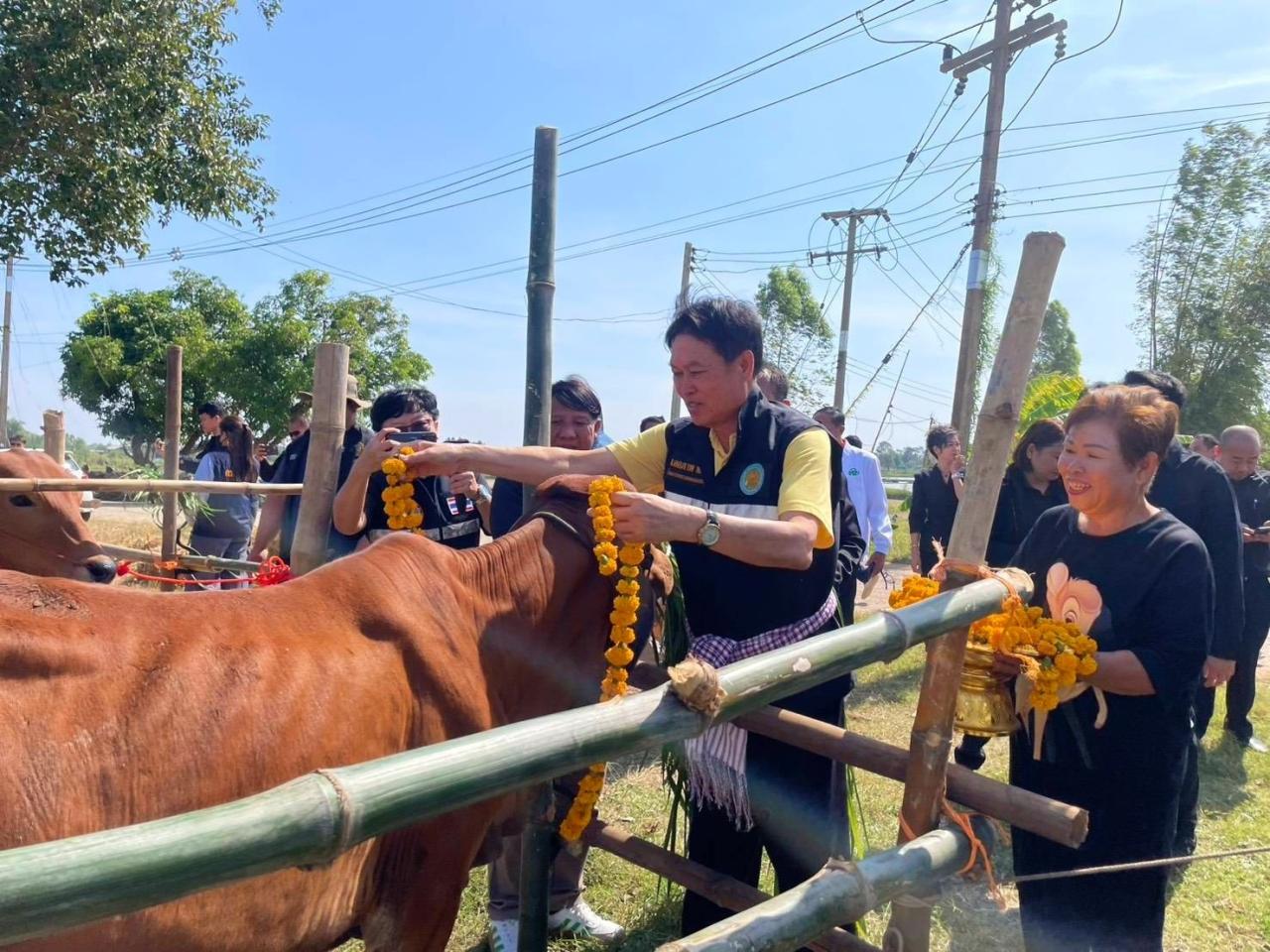 ภาพประกอบที่ 3