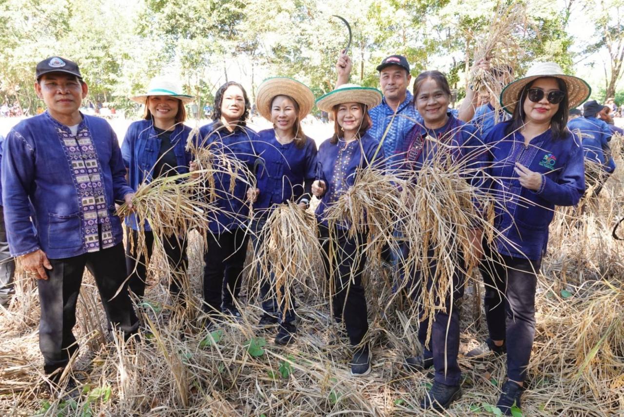 ภาพประกอบที่ 8