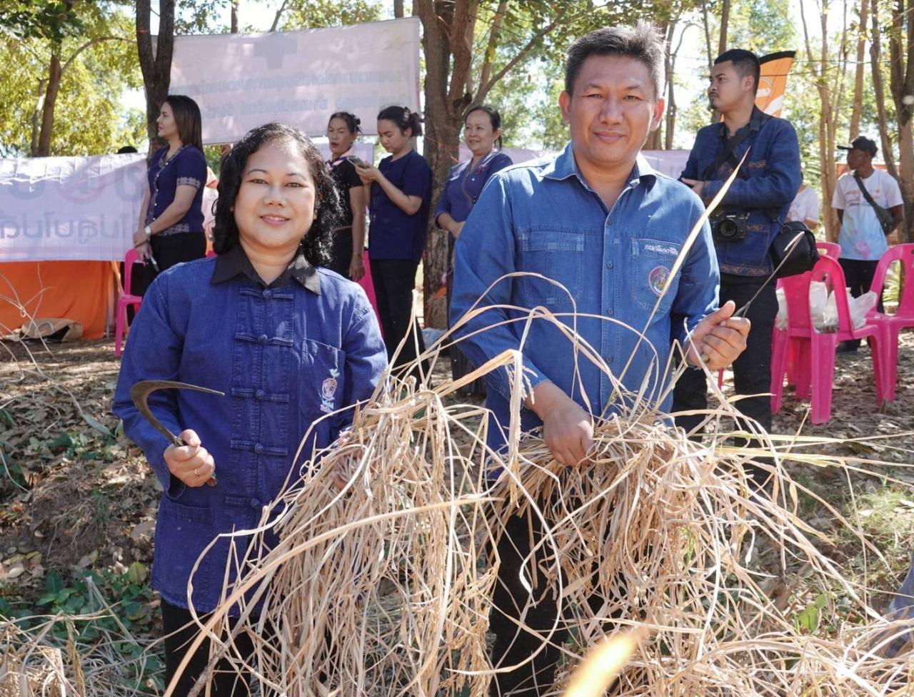ภาพประกอบที่ 7