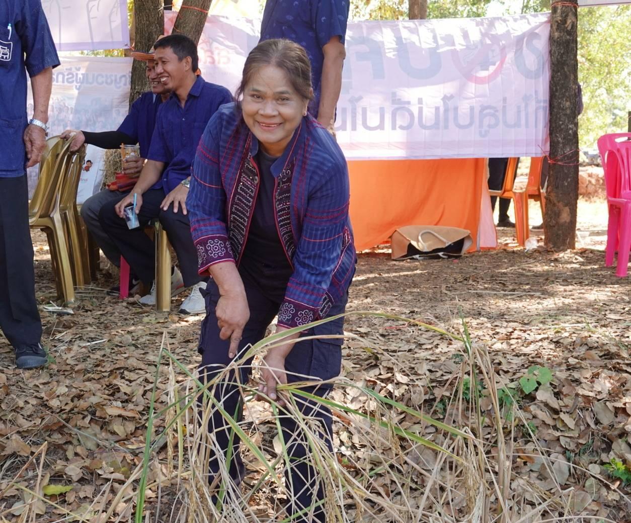 ภาพประกอบที่ 6