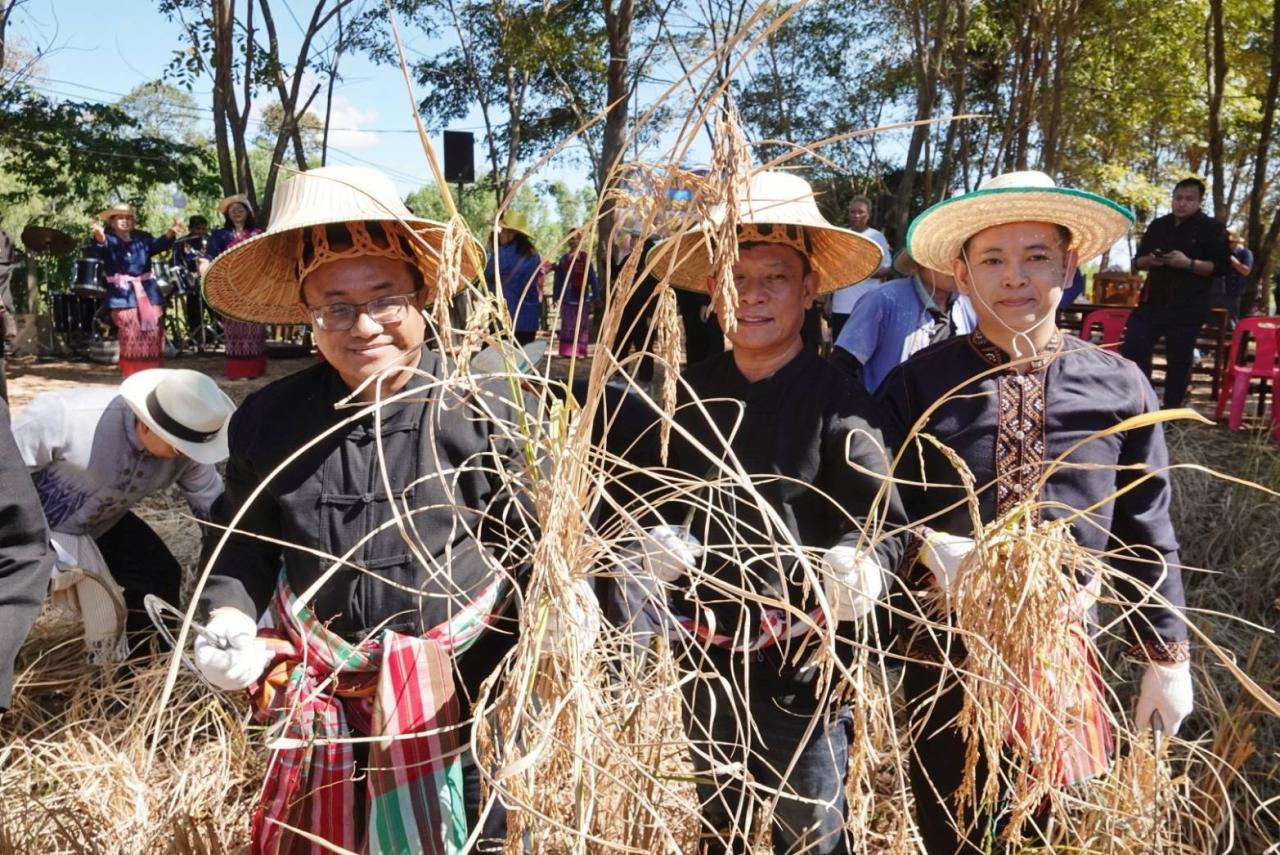ภาพประกอบที่ 5