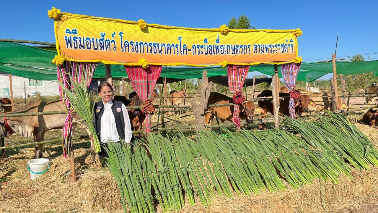 ภาพประกอบที่ 2