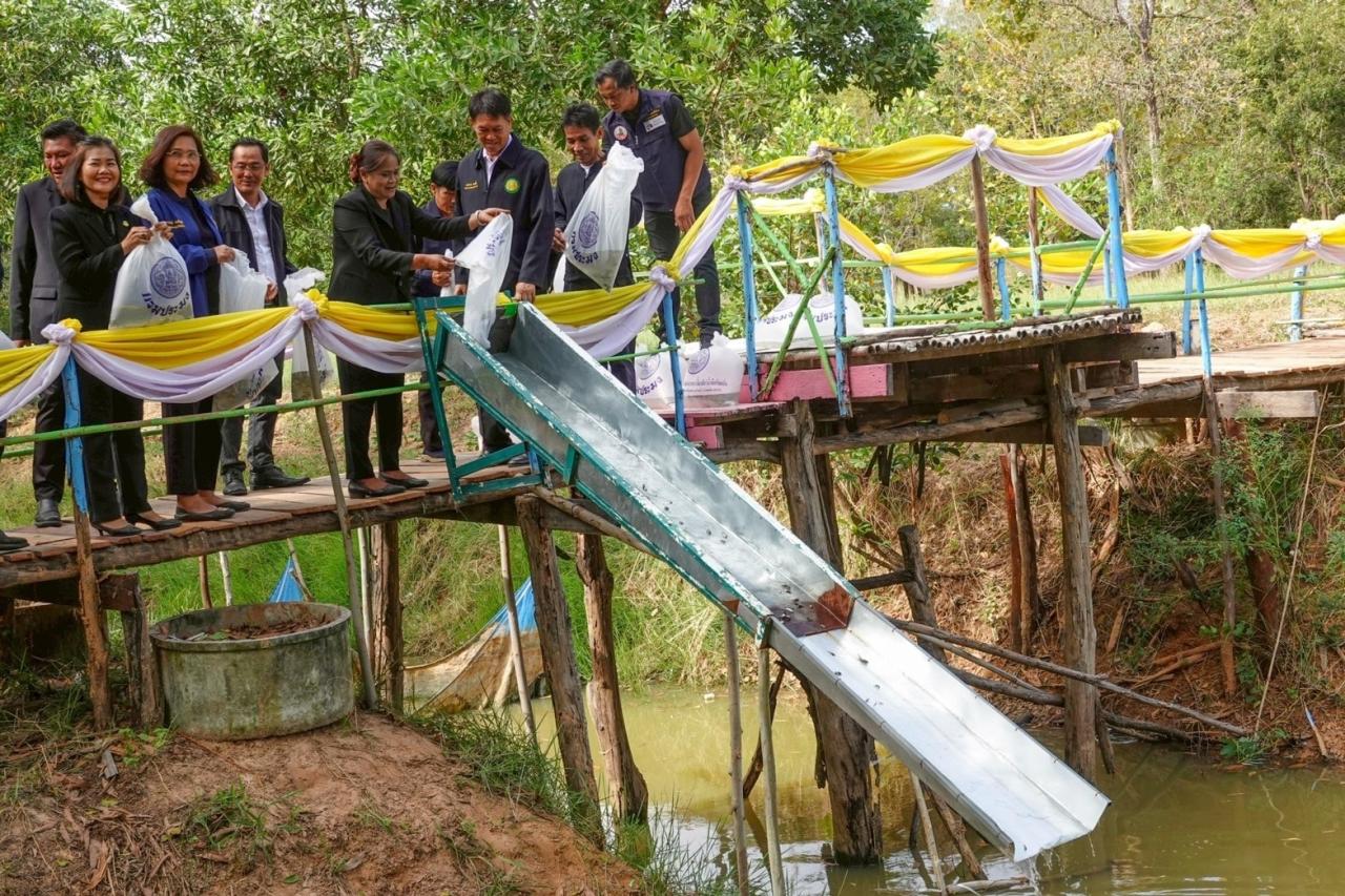 ภาพประกอบที่ 13