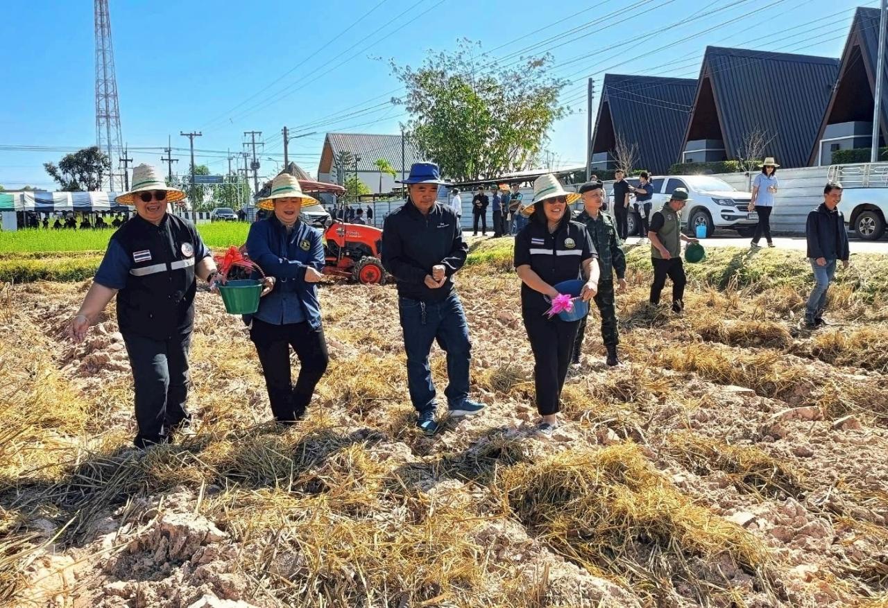 ภาพประกอบที่ 5
