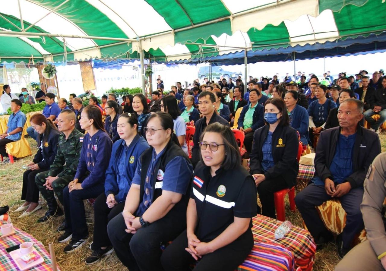 ภาพประกอบที่ 1