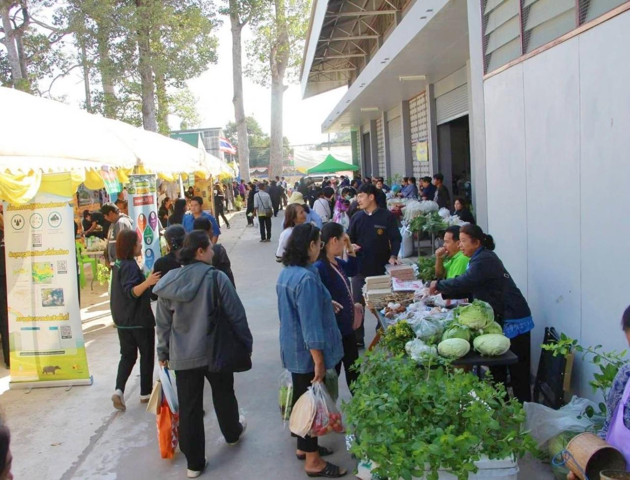 ภาพประกอบที่ 5