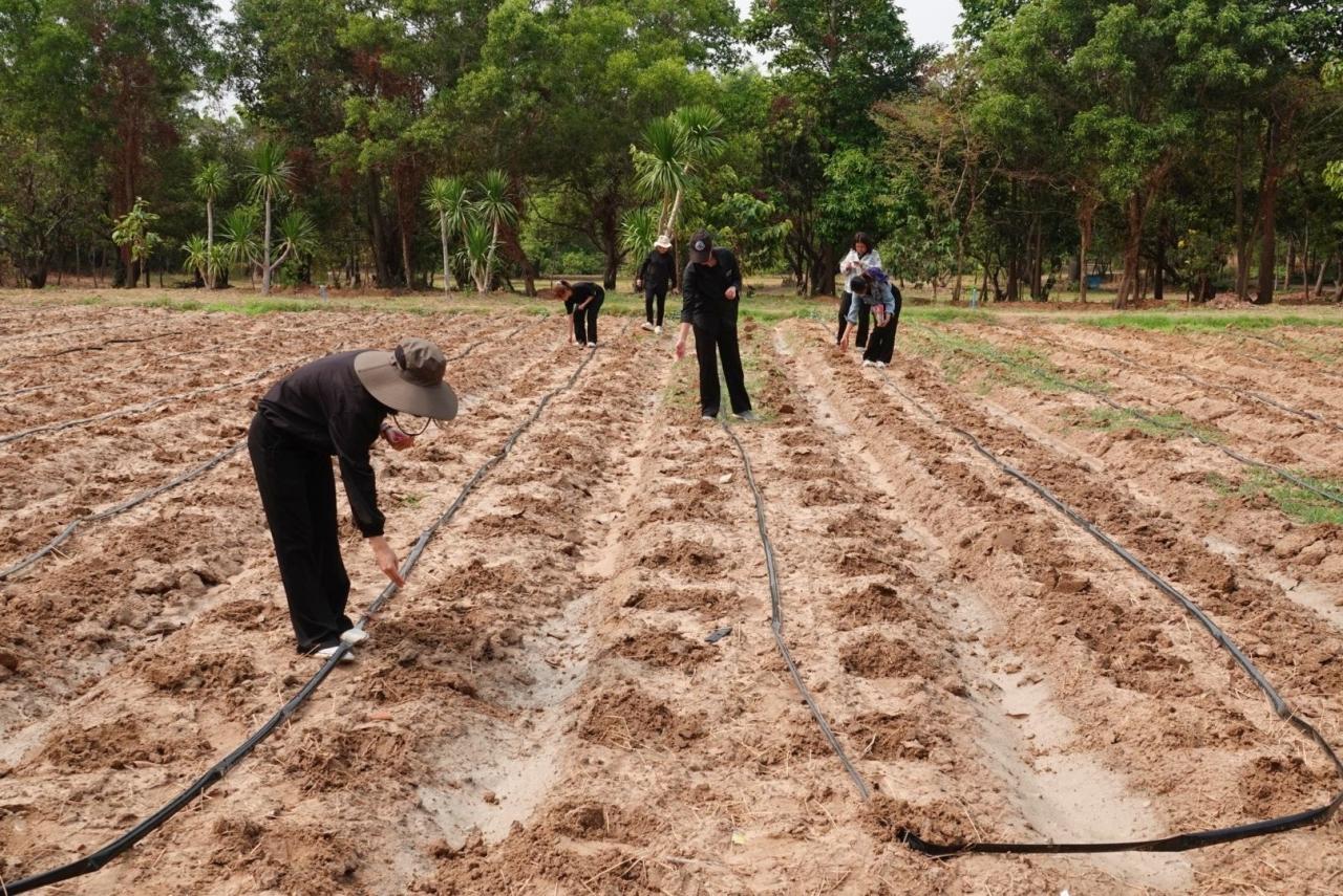 ภาพประกอบที่ 6