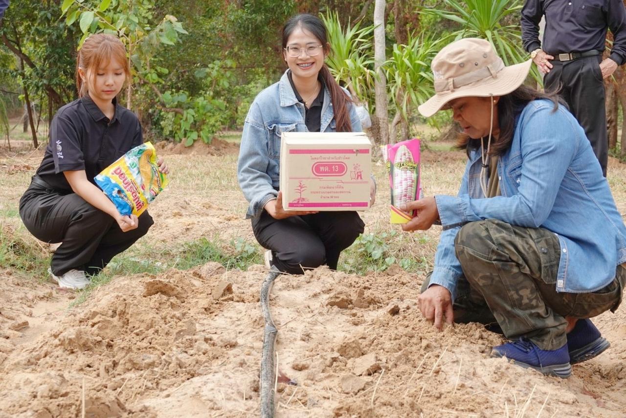 ภาพประกอบที่ 2