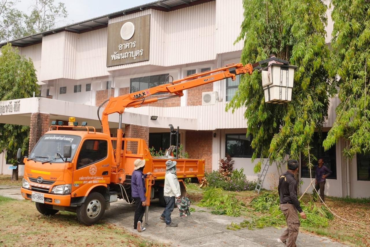 ภาพประกอบที่ 1