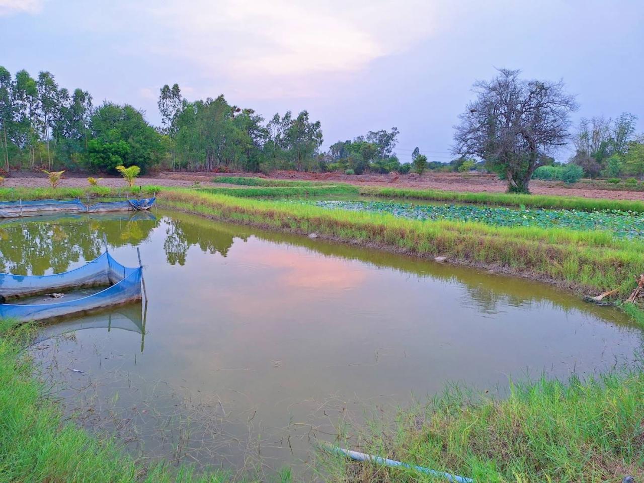 ภาพประกอบที่ 8