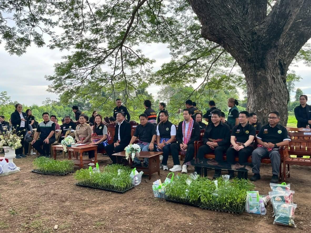 ภาพประกอบที่ 3