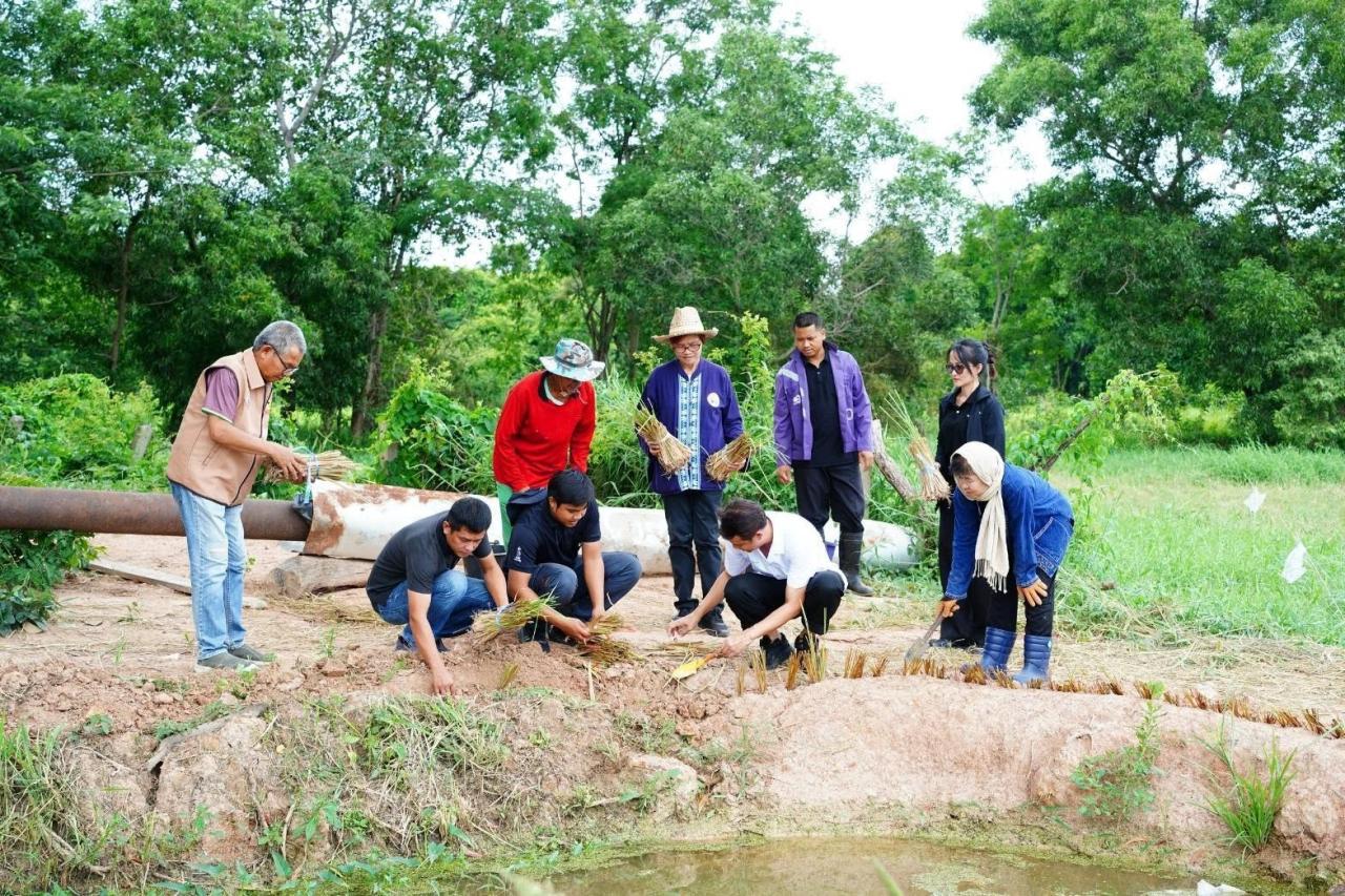 ภาพประกอบที่ 1