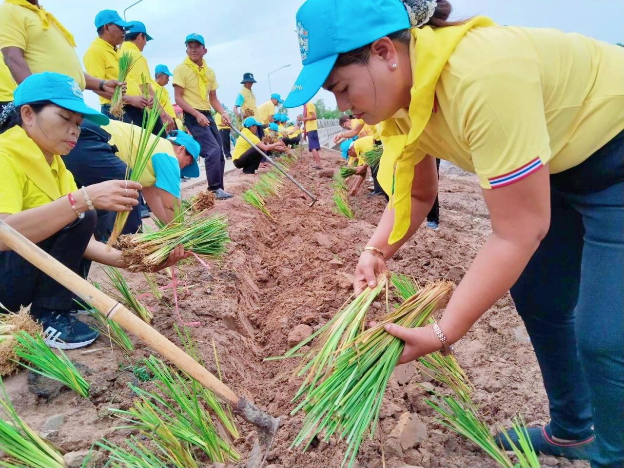 ภาพประกอบที่ 4