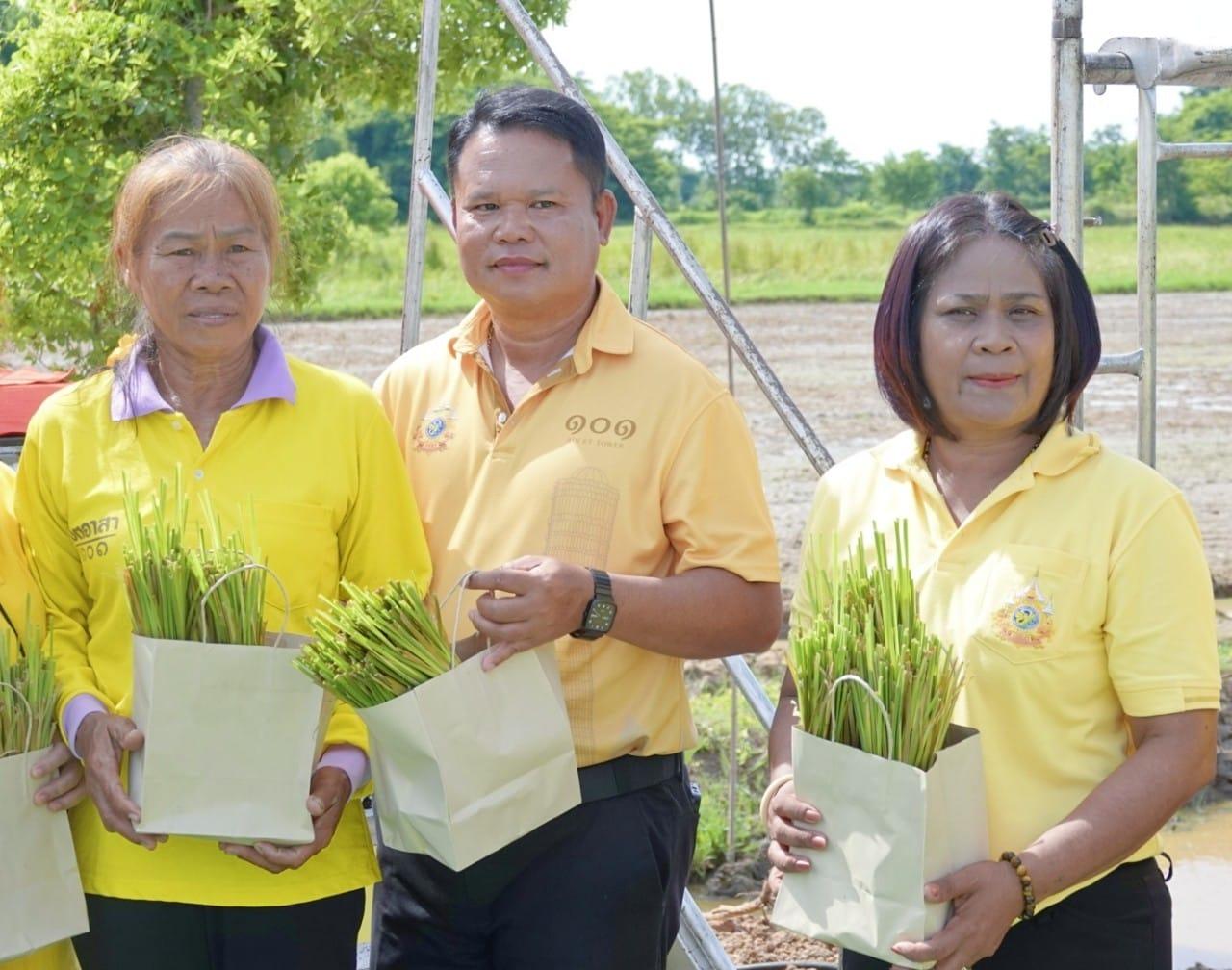 ภาพประกอบที่ 6