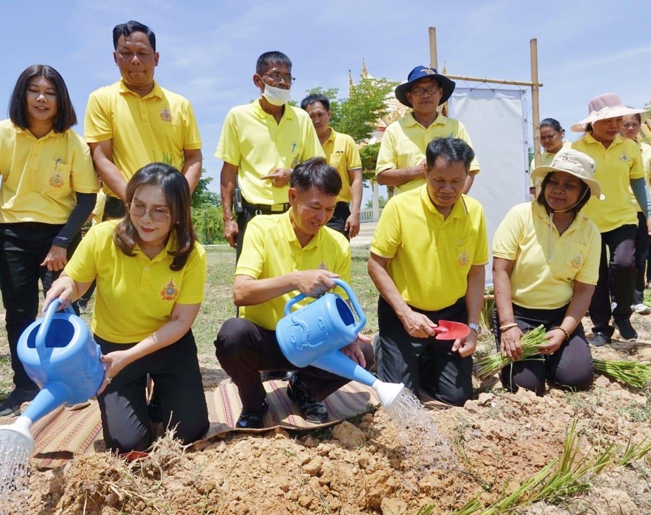 ภาพประกอบที่ 1