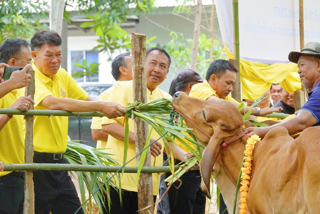 ภาพประกอบที่ 3