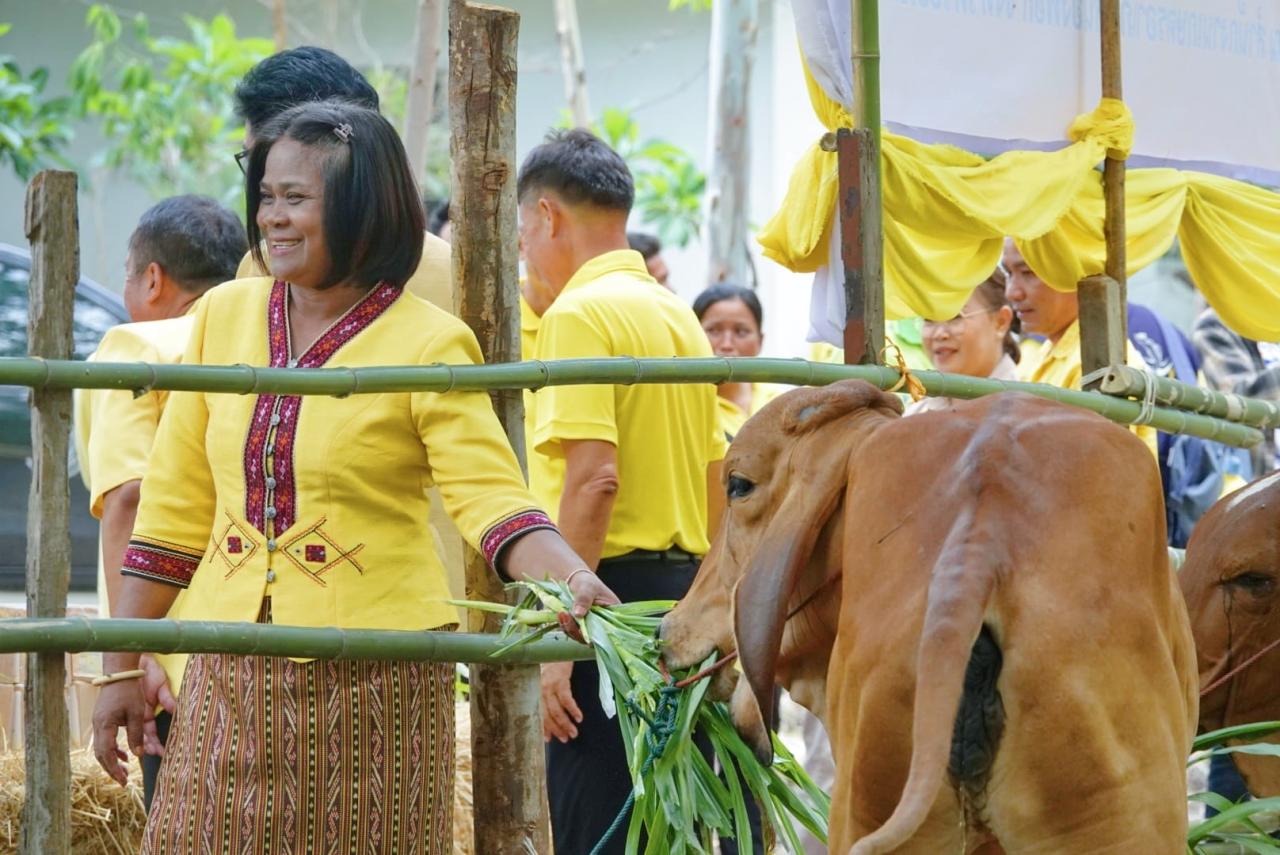 ภาพประกอบที่ 2