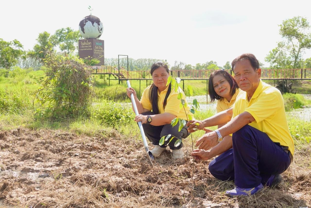 ภาพประกอบที่ 2