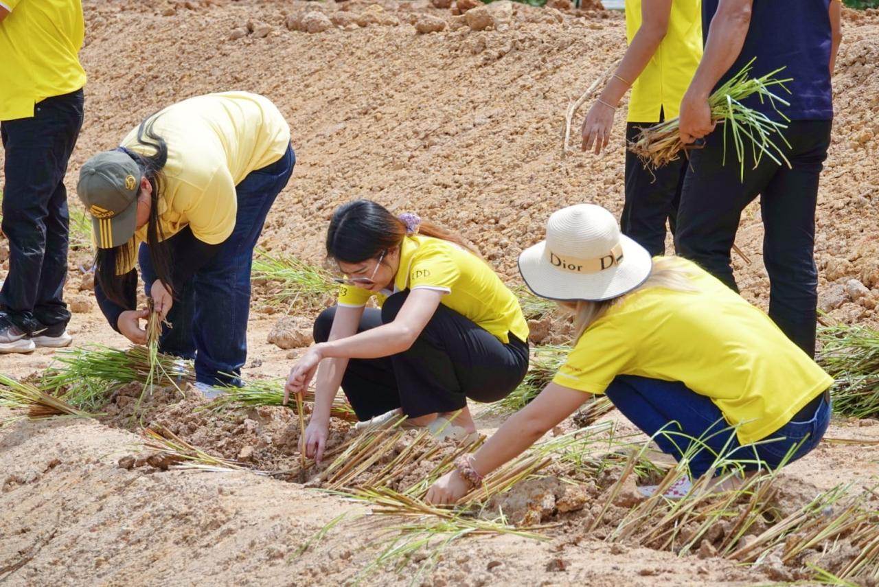 ภาพประกอบที่ 10